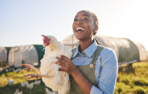 A woman holding a chicken that she's checking in on