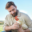 A man holds one of his backyard chickens