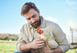 A man holds one of his backyard chickens