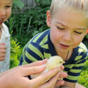 Two kids with a baby chicken