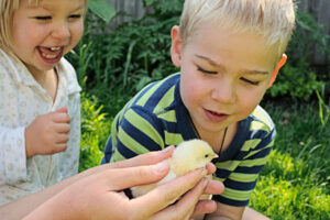 Two kids with a baby chicken