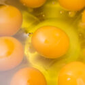 Egg Yolk Close Up Background